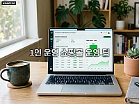 1인 운영 쇼핑몰 운영 팁 주문 배송 자동화 방법